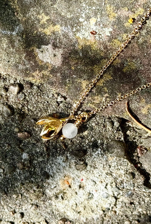 Collier Crocus