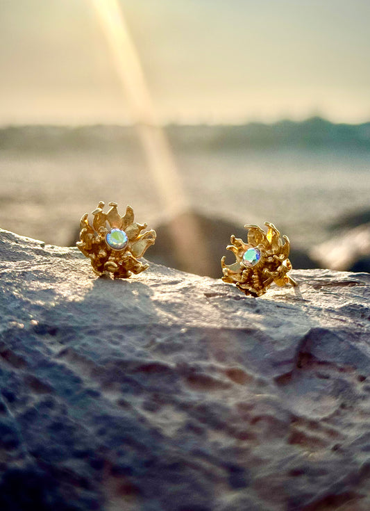 Petit modèle Boucles d’oreilles Désir de Liberté